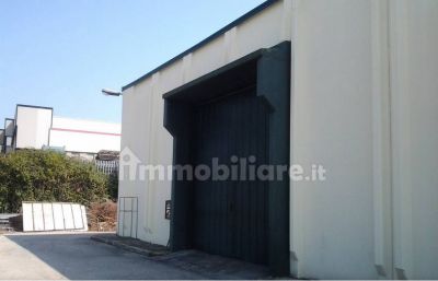 Fiano rom 8