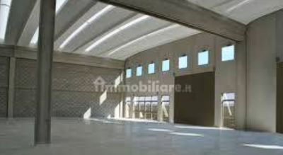 Fiumicino 10000 mq 2