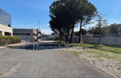 Tor sapienza 6